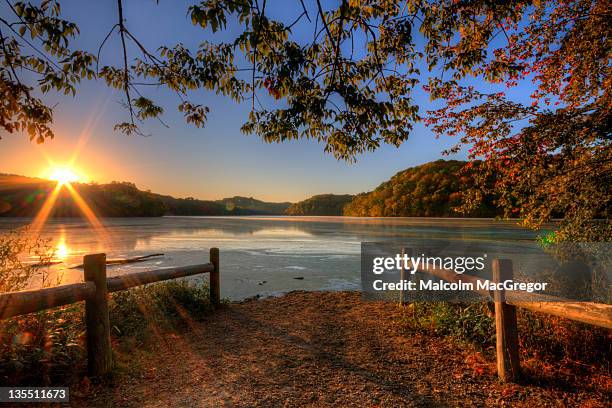 radnor lake - tennessee stock-fotos und bilder