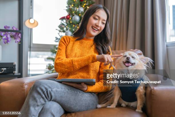 christmas holiday vacation,asian female friend spending time conversation together at home,asian female sitting on sofa couch with old senior dog talking with friend connect relation with fun and joyful at apartment - real time stock pictures, royalty-free photos & images