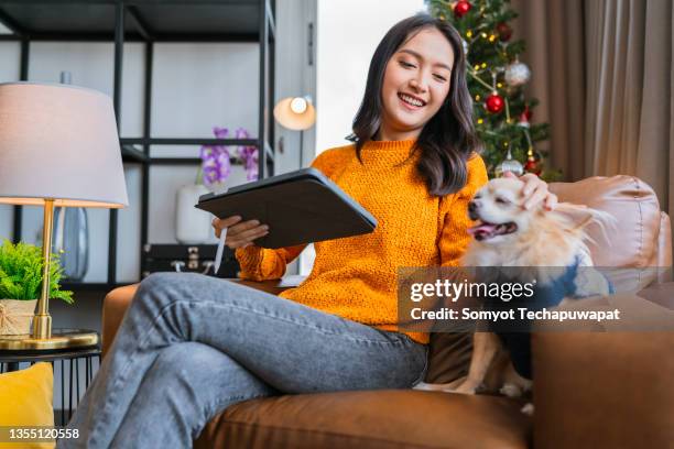 christmas holiday vacation,asian female friend spending time conversation together at home,asian female sitting on sofa couch with old senior dog talking with friend connect relation with fun and joyful at apartment - real time stock pictures, royalty-free photos & images