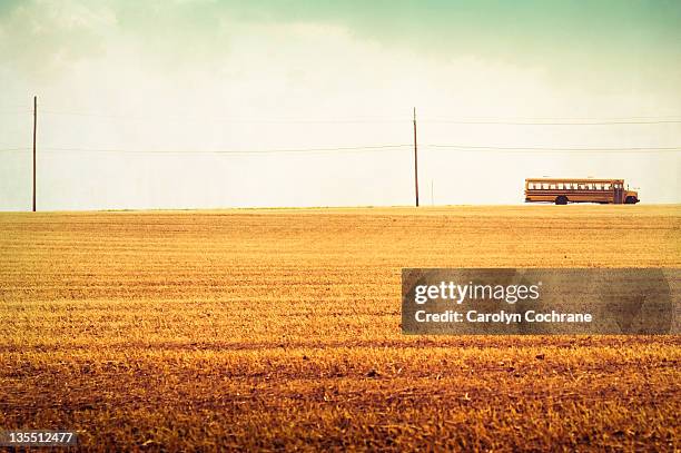 school bus and field - bus lane stockfoto's en -beelden