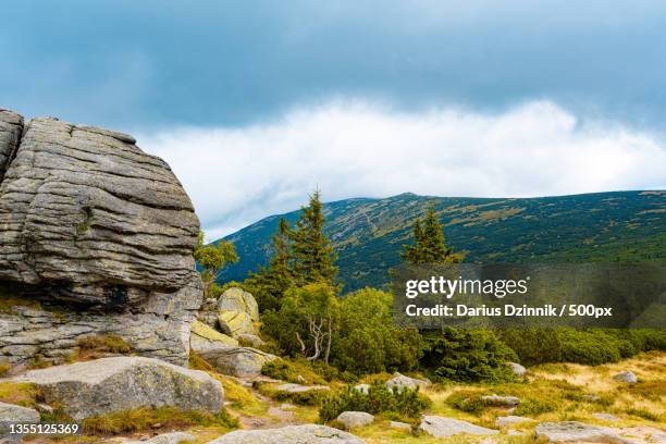 scenic view of rocky mountains against sky - hintergrund grün foto e immagini stock