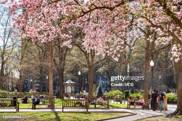 Philadelphia In The Spring 33,089 Philadelphia Spring Stock Photos, High-Res Pictures, and Images ...
