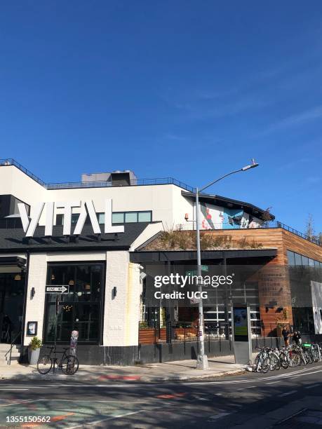 Vital Climbing Gym with green roof, Williamsburg, Brooklyn, New York.