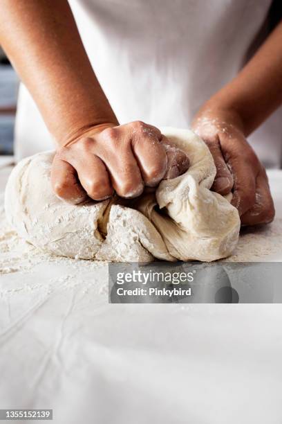 making yeast dough, hands knead dough, kneading dough - knåda bildbanksfoton och bilder