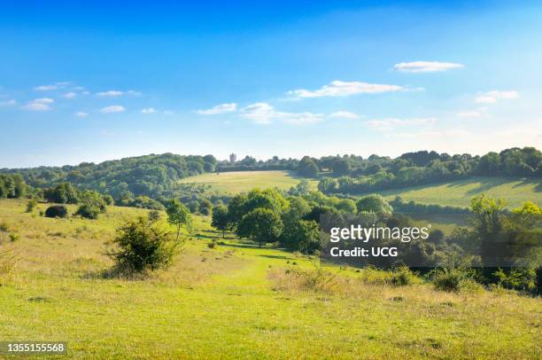 Farthing Downs is part of the South London Downs National Nature Reserve which comprises 121 acres of countryside along the border of Surrey and...