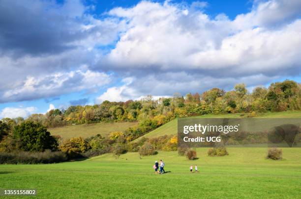 Happy Valley Park is an area of open countryside on the border of Surrey and Croydon with 250 acres of down land grass, wooded slopes and a...