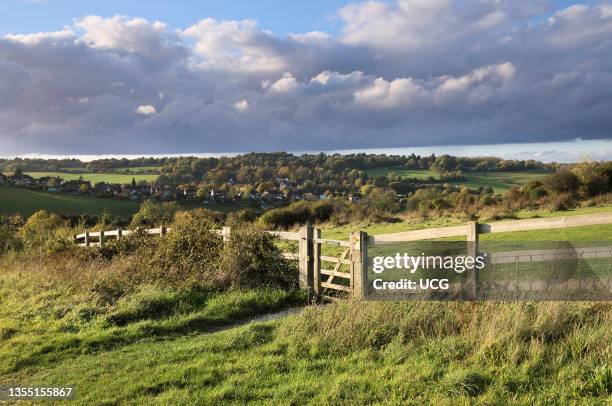 Farthing Downs is part of the South London Downs National Nature Reserve which comprises 121 acres of countryside along the Surrey and Croydon border.