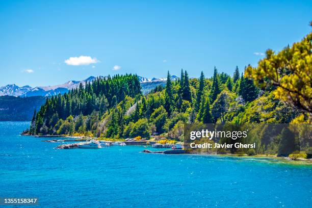 lago nahuel huapi, bosques y montañas. bariloche, río negro, patagonia, argentina. vista panorámica. - 德巴里洛切 個照片及圖片檔