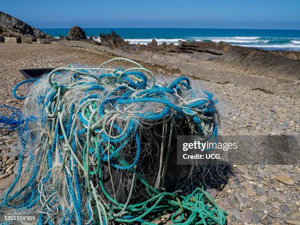 Tangled Fish Rope Tangled Rope Photos and Premium High Res Pictures - Getty Images