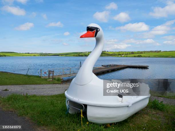 Swan pedalo at Tamar Lakes, Devon, UK.