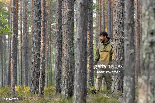 a young man searches for mushrooms in moss in a summer pine forest - forest scientist stock-fotos und bilder