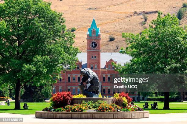 University of Montana Missoula summer campus scene showing University Hall and a sculpture of the UniversityÍs grizzly bear mascot, The University of...