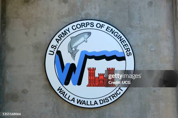 Army Engineer Rug Us Army Corps Of Engineering Photos and Premium High Res Pictures ...