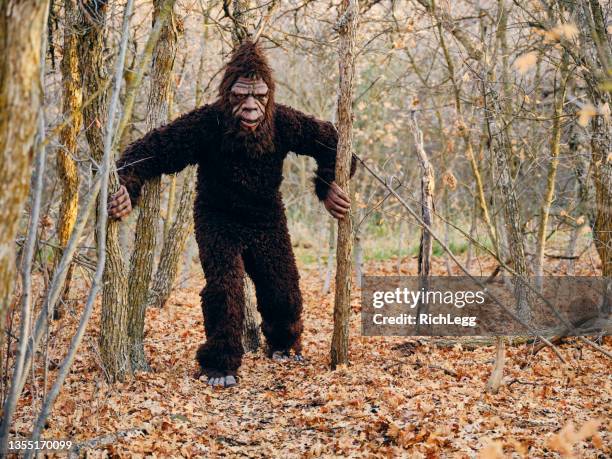 sasquatch bigfoot in the forest - bigfoot stock pictures, royalty-free photos & images