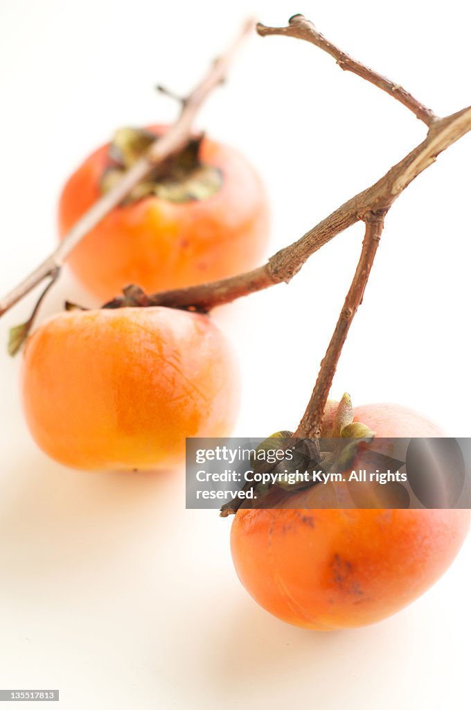 Persimmon fruit