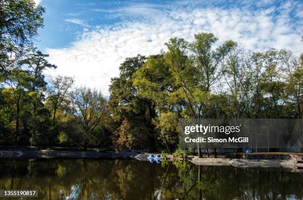 lago menor, bosque de chapultepec, mexico city, mexico - chapultepec fotografías e imágenes de stock