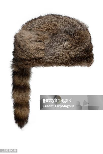 raccoon has - fur hat stock pictures, royalty-free photos & images