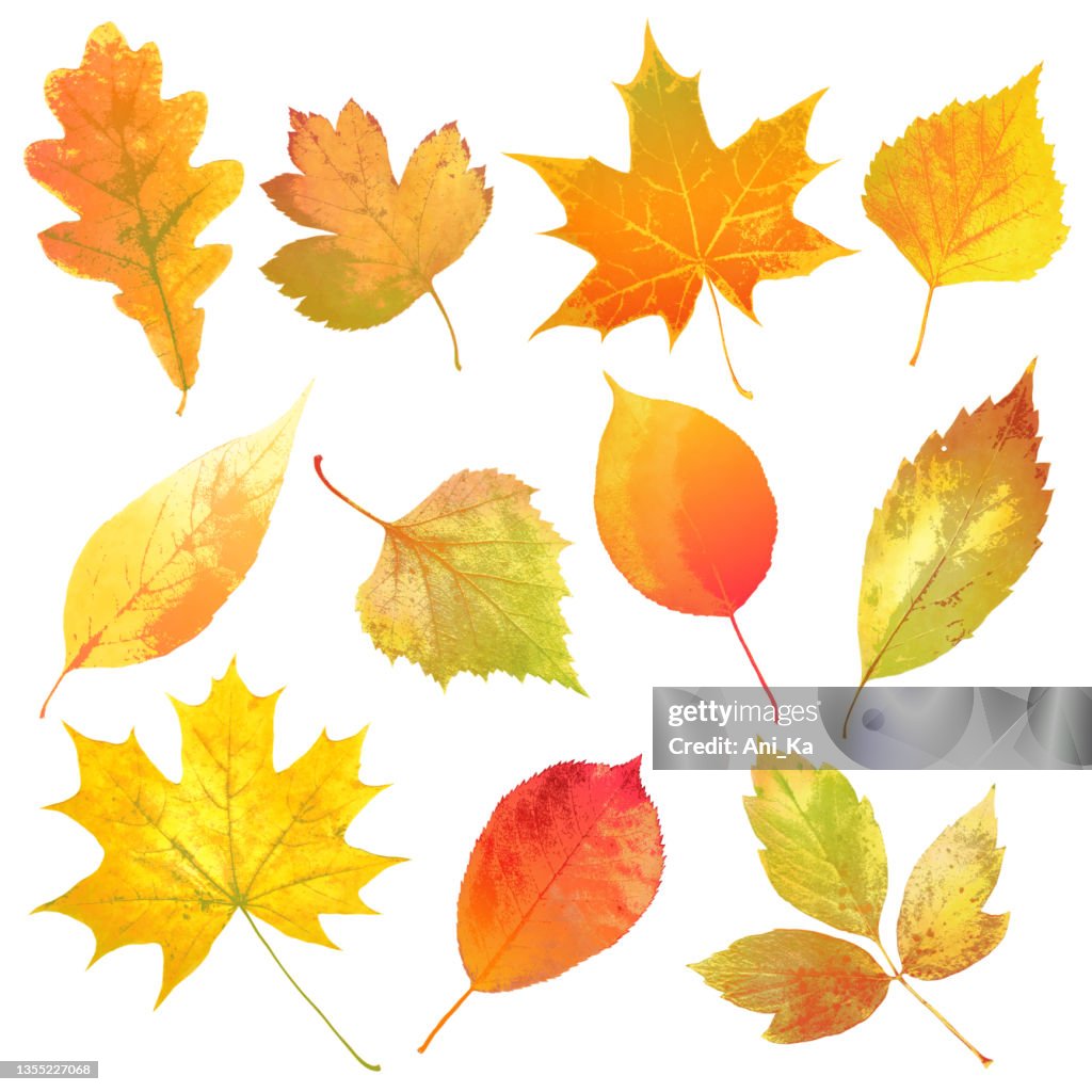 Aquarell Herbstlaub
