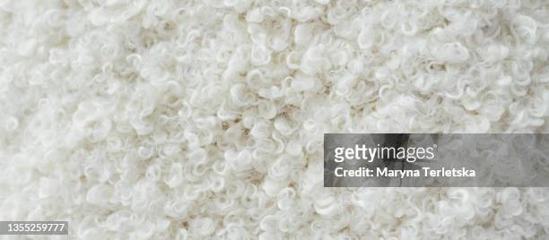 animal abstract background in white color. - wool stock pictures, royalty-free photos & images