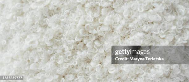 animal abstract background in white color. - fur rug stock pictures, royalty-free photos & images