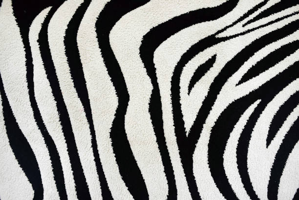 animal abstract background in black and white colors. - zoo art stock pictures, royalty-free photos & images