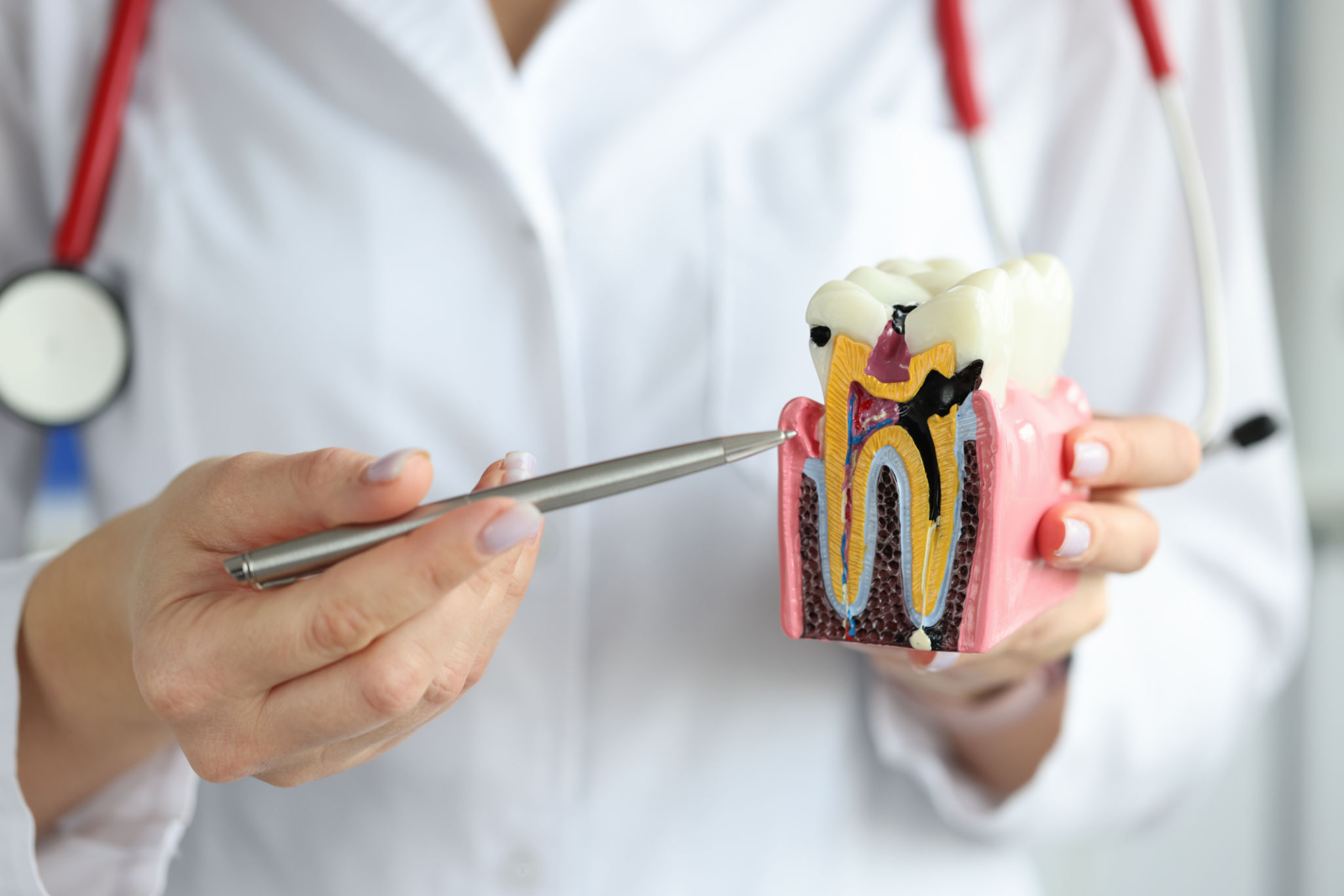 educational workshop dental