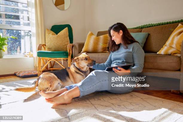 full length shot of a young woman sitting in her living room with her dog and using a digital tablet - german shepherd sitting stock pictures, royalty-free photos & images