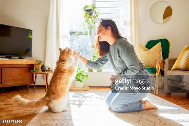 scatto a figura intera di una giovane donna attraente inginocchiata nel suo salotto e che insegna i trucchi del suo gatto - snack foto e immagini stock