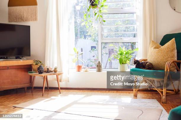 aufnahme einer katze, die auf einem sessel und einer yogamatte im wohnzimmer zu hause liegt - living room stock-fotos und bilder