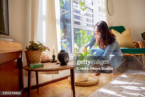 Full length shot of an attractive young woman rearranging her living room at home Full length shot of an attractive young woman rearranging her living room at home