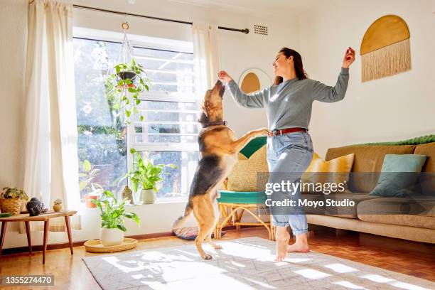 自宅のリビングルームで彼女の犬と踊る魅力的な若い女性の完全な長さのショット - weekend activities ストックフォトと画像