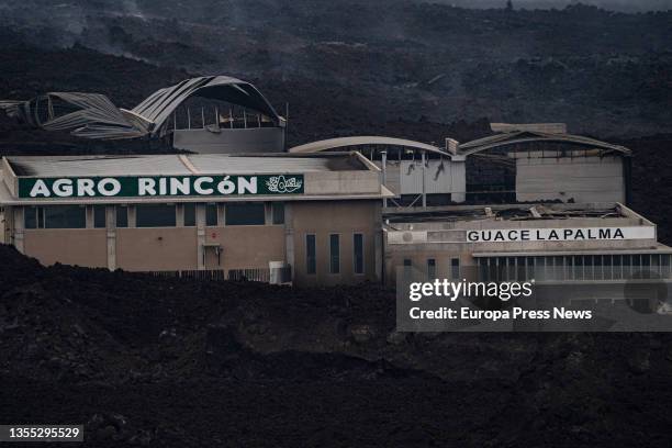 Warehouses of the company Agro Rincon affected by lava from the Cumbre Vieja volcano, on 24 November, 2021 in Los Llanos de Aridane, Santa Cruz de...