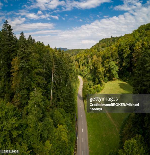 road through a forest with clearing, aerial view, ruenenberg, basel-landschaft, switzerland - canton de bâle campagne photos et images de collection