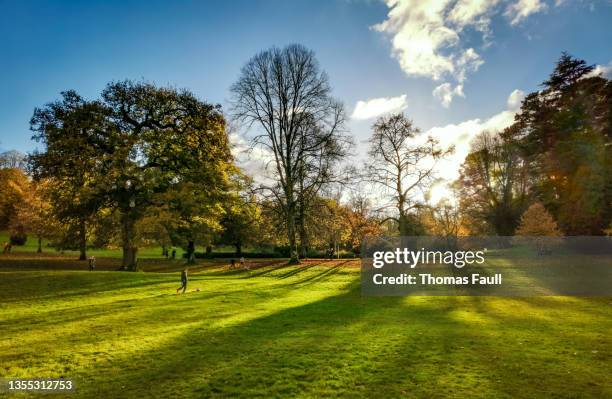 cockington parkland in torquay - torquay stock pictures, royalty-free photos & images