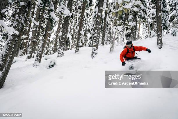 snowboarding fresh powder on a tree run - snow board stock pictures, royalty-free photos & images