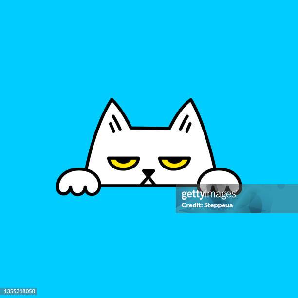 neugierige spähende katze - tierkopf stock-grafiken, -clipart, -cartoons und -symbole