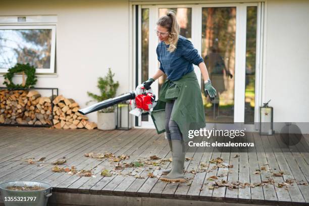 frau, die im garten arbeitet (haus, laubbläser) - laubbläser stock-fotos und bilder
