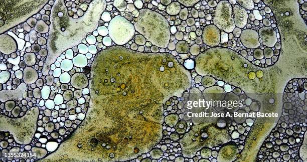 water pollution, full frame of bubbles and oil stains floating on a moving water surface. - ameba stock pictures, royalty-free photos & images