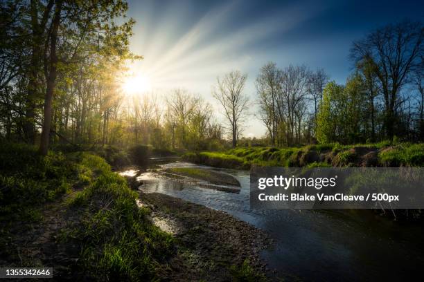 scenic view of river amidst trees against sky,indiana,united states,usa - indiana stock pictures, royalty-free photos & images