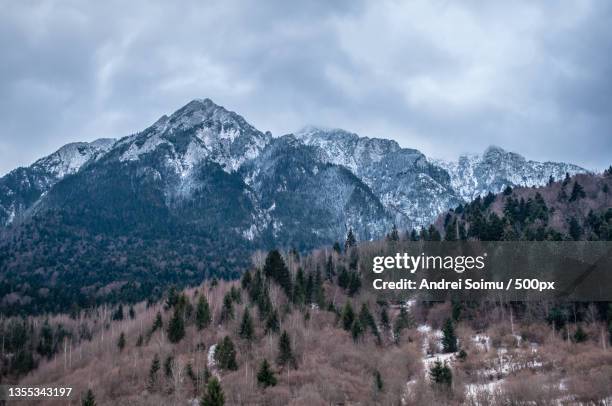 scenic view of snowcapped mountains against sky,zarnesti,romania - zarnesti stock pictures, royalty-free photos & images