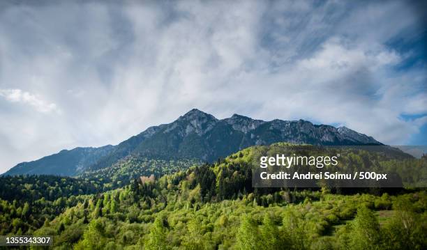 scenic view of mountains against sky,romania - zarnesti stock pictures, royalty-free photos & images