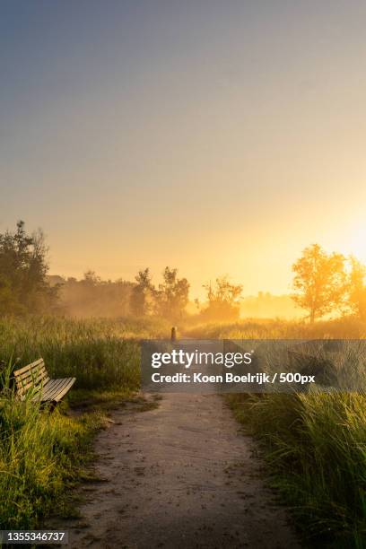 empty road amidst field against sky during sunset,het amsterdamse bos,amstelveen,netherlands - amsterdamse bos stock pictures, royalty-free photos & images