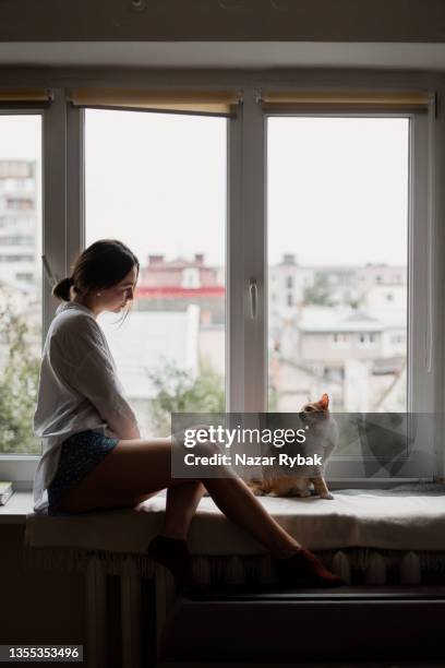 woman with a maine coon cat sitting on the window sill - windowsill copy space stock pictures, royalty-free photos & images