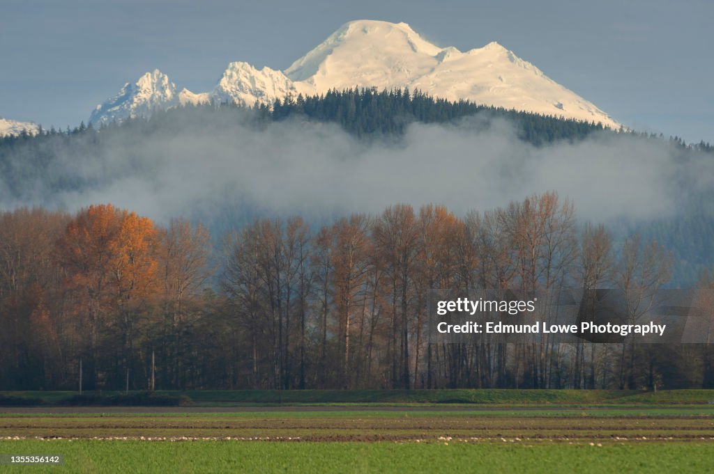 Mt. Baker As Seen From the Skagit Valley, Washington.