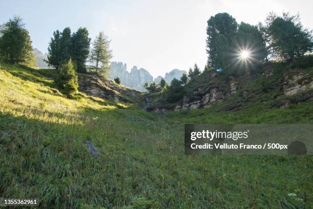 scenic view of field against sky,trento,italy - velluto fotografías e imágenes de stock