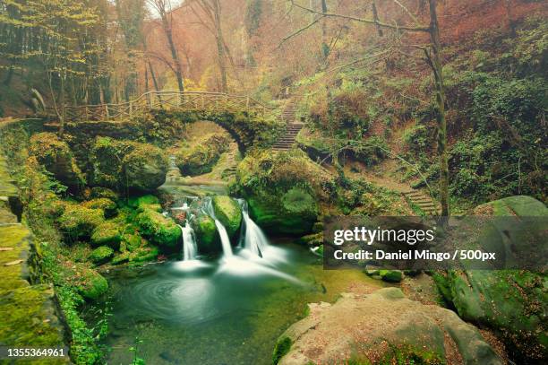 scenic view of waterfall in forest,larochette,luxembourg - luxemburg stock-fotos und bilder