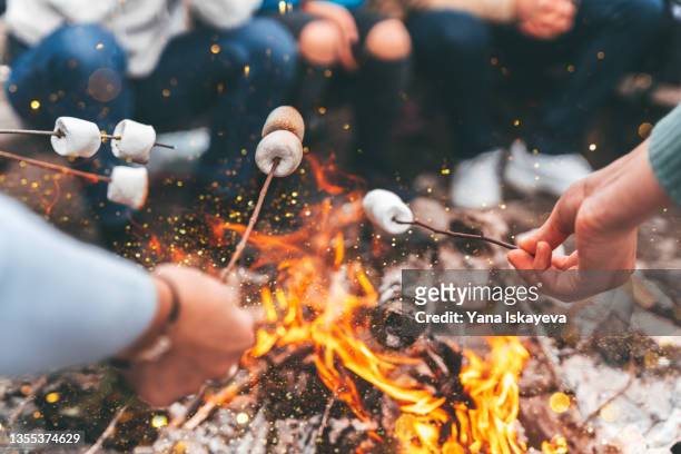 Closeup of friends roasting marshmallows over the bonfire
