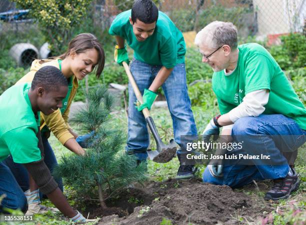 Join Tree Planting Planting Tree Together Photos and Premium High Res Pictures - Getty Images