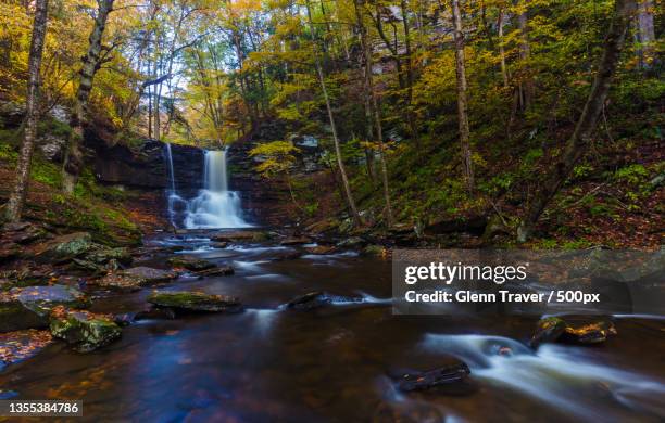 scenic view of waterfall in forest during autumn,ricketts glen state park,united states,usa - ricketts glen state park stock pictures, royalty-free photos & images