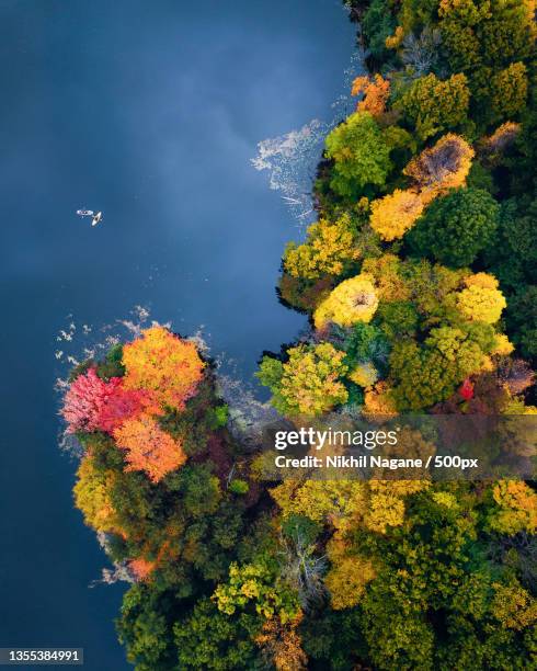 aerial view of autumn trees against sky,rochester,new york,united states,usa - rochester new york stock pictures, royalty-free photos & images